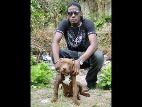 Aidonia