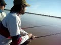 pesca de palometa JUAN PABLO MIHURA 2