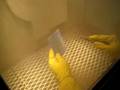 Rayzist Glass Etching