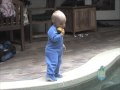 Infants 6 months to 12 months