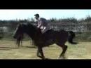 02 04 quidam diego parcours n°3