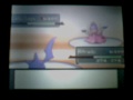 Pokemon Platinum Wifi Battle #30 Vs ThaCh0zenOne (Narrated)