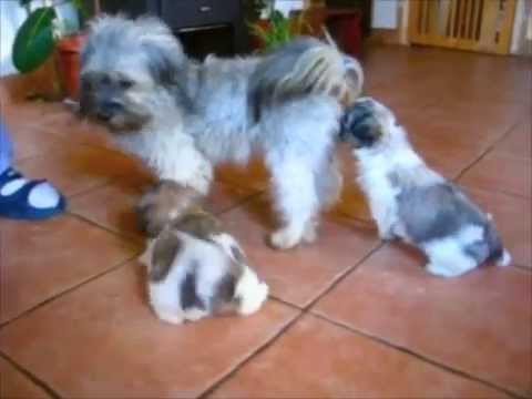 See video