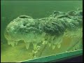 gomec the australian crocodile was once billed as the world's largest, by the st. augustine alligator farm in st. augustine, florida. ted brown of wjxt tv did the story for local news in the late 1980's, shortly after gomec's arrival in florida.