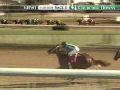 CHURCHILL DOWNS, 2009-11-28, Race 5