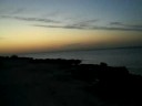 Aviad Ibiza Aviad Ibiza