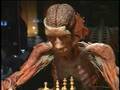 Body Worlds -  Plastic Corpses!
