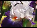 Travel - Sì, Viaggiare - Nature Is All Around