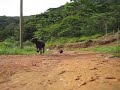 A CHEGADA DO ANO! A CHEGADA DO ANO!