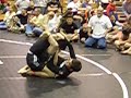 Curtis Wins By Arm Bar Curtis Wins By Arm Bar