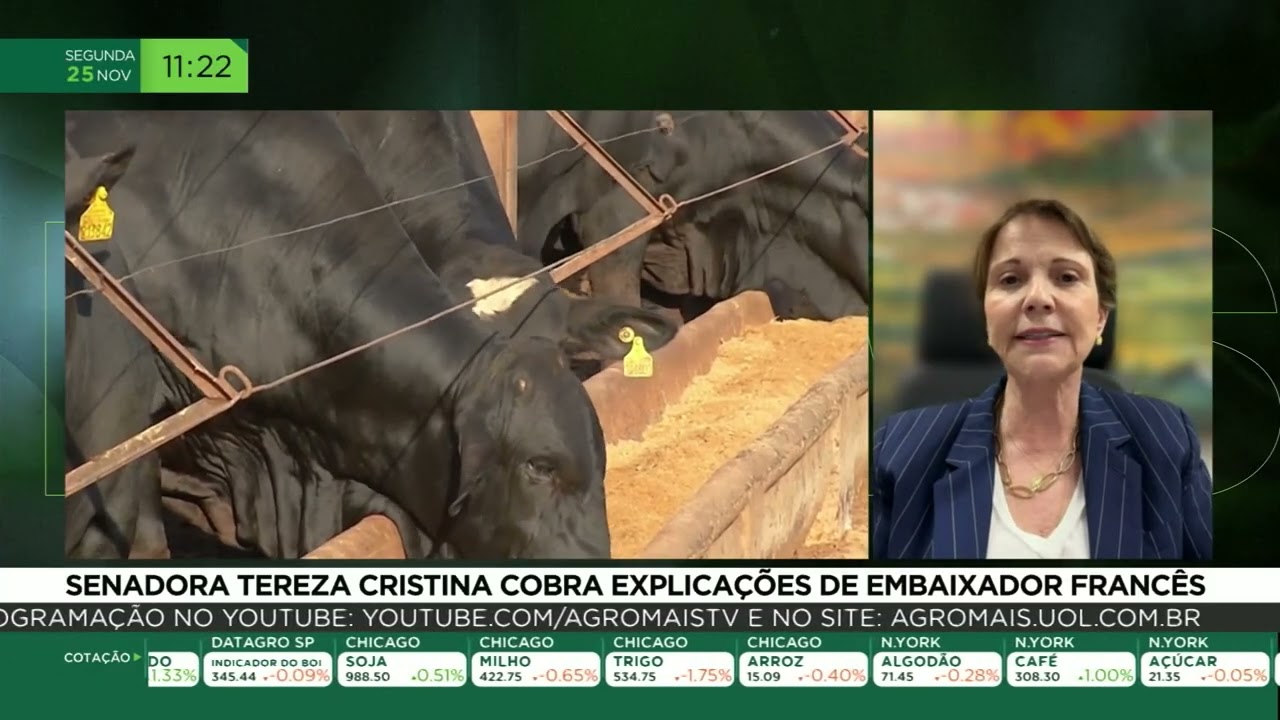 Senadora Tereza Cristina cobra explicações de embaixador francês