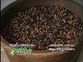 Seed propagation in anthurium Seed propagation in anthurium