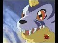 Youtube Poop: Gabumon and Matt's Cave Adventure Youtube Poop: Gabumon and Matt's Cave Adventure