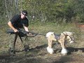 Redneck boys and a horse Redneck boys and a horse