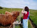 Scotland Scotland