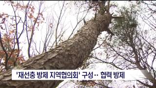 뉴스데스크