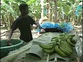 Windward Islands Travel Doc 06