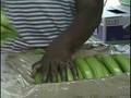 Windward Islands Travel Doc 06