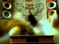 videos de stripes and patches dancing for fun LOL..avi