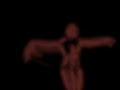 Songes-d-arm-nie