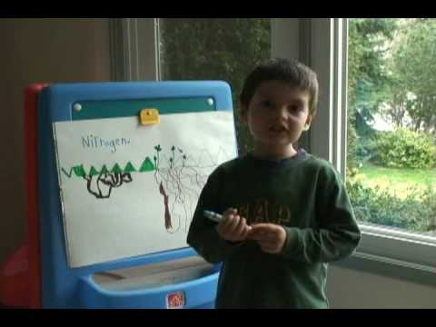 how to fertilize clover