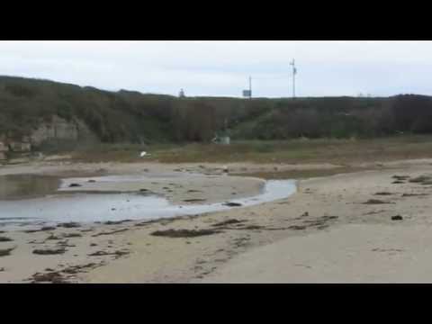 Video for 4 Mile Beach at Wilder Ranch State Park