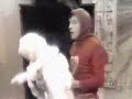 Chapolim x Múmia