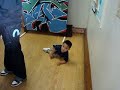 My sons first trip to Homeland(LBC)