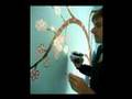 Birdy Blossom Forest mural
