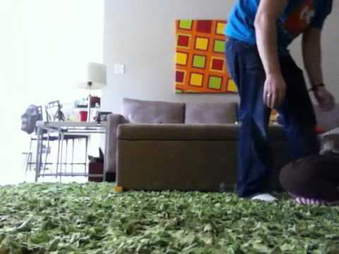 Ali and Her Push Toy