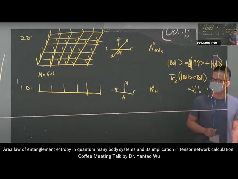 YouTube: Area law of entanglement entropy in quantum many body systems and its implication in tensor network calculation