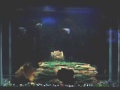 aquarium