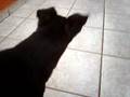 videos de MPG00002.MPG