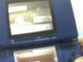Atrapando Pokemon Murkrow Shiny