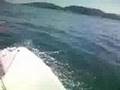 春風セーリング!!レーザー級は最高にお もしろい!! 3月15日 Wasi Laser Sailing Upwind!