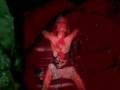videos de Rote Rosen