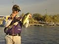 Lake Havasu - Pointer / Skeet Reese (Part 2)