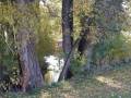 Scenery Show2 Soft.wmv