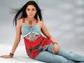 Asin Collection gallery