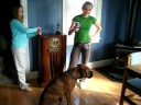 Bruno Eats Bubbles