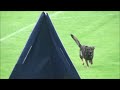 Preview video <strong>7-L�nderwettkampf 2011 Helmut Huber</strong>