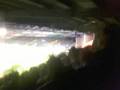 Yeovil Town FC Chant Vs Northampton