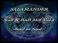 SALAMANDER Soul&RnB MIX vol.2-Soul to Soul-(SAMPLE)