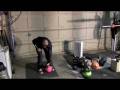 videos de Getting Busy with Kettlebells, 1 arms and barbells.
