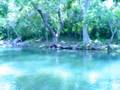 Balneario Toncontin Agalteca Olanchito Honduras River