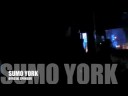 SUMO YORK POINT BREAK (FREGENE)
