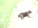 wandelen deel 2