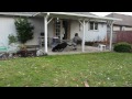 Man Hit by Dog Kong!! (Funny!)