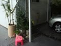 Hail in Sydney 9th December 2007
