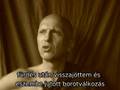 Bhikkhu Mettiko -- szellem történet